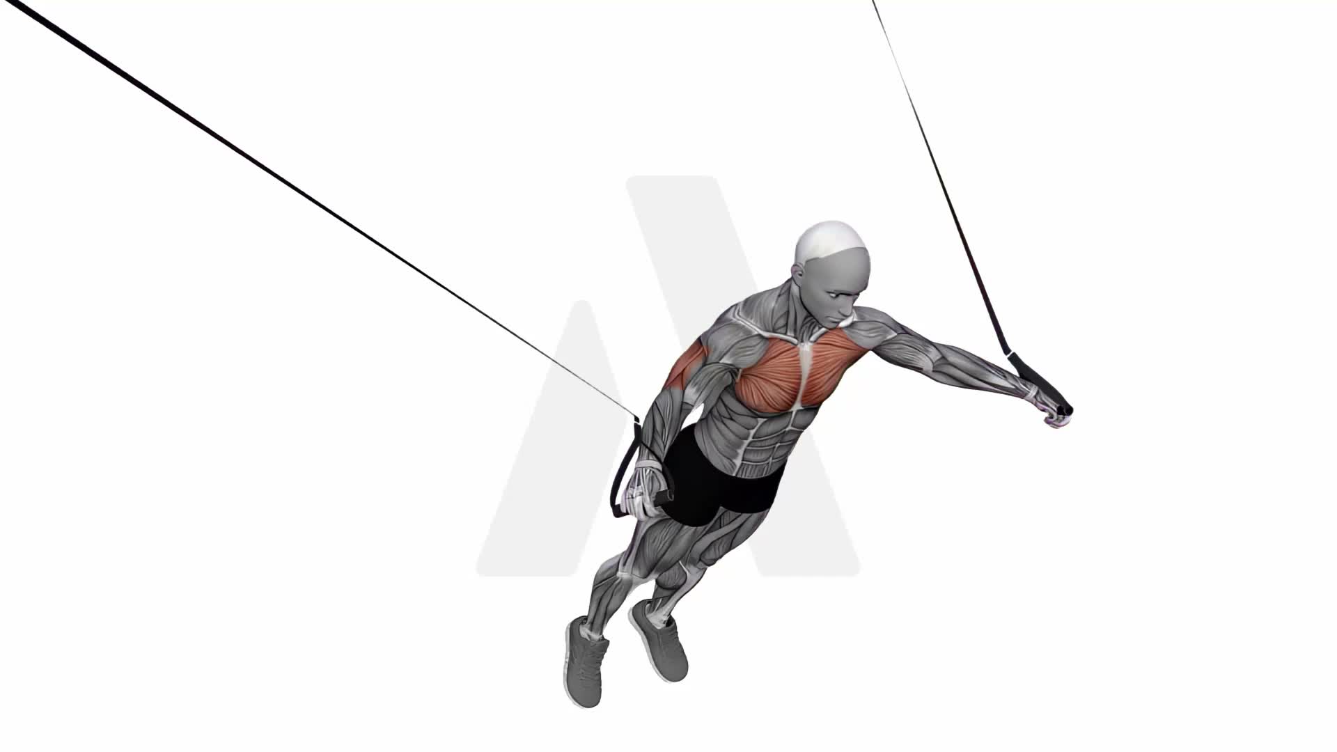 Suspension Trainer With Grips Chest Fly exercise demonstration