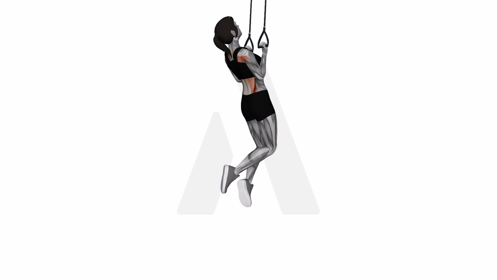 Suspension Trainer With Grips Chin Up exercise demonstration