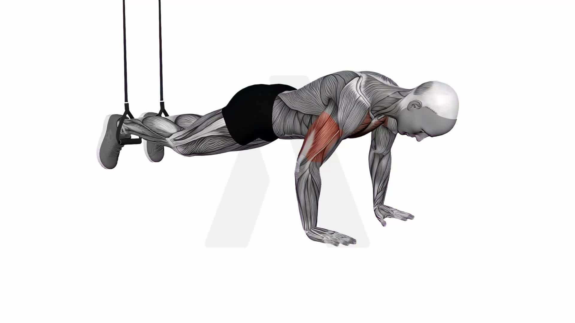 Suspension Trainer With Grips Decline Push Up exercise demonstration