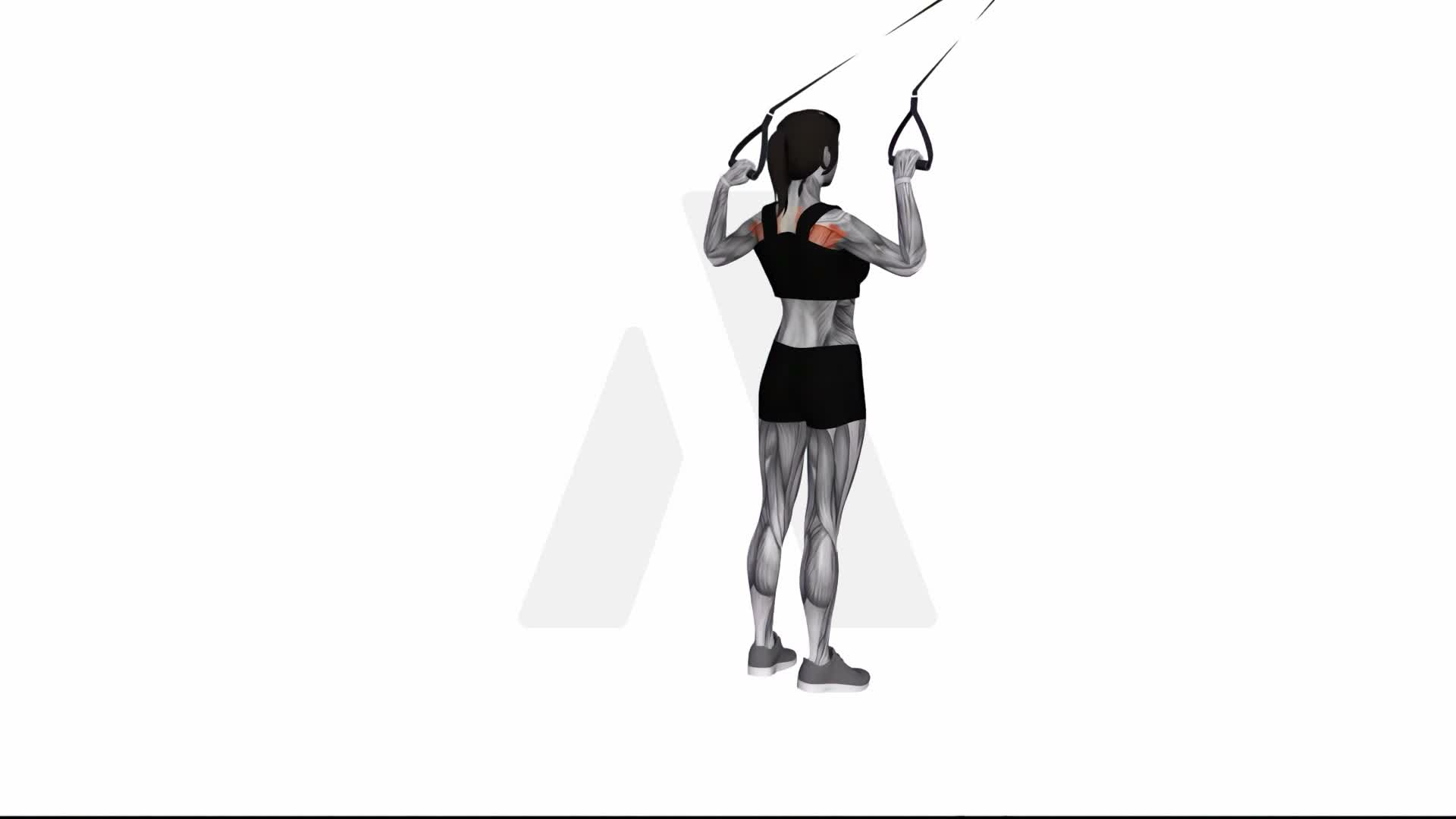 Suspension Trainer With Grips Face Pull exercise demonstration