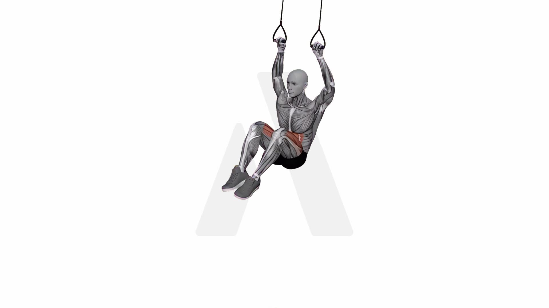 Suspension Trainer With Grips Hanging Knees To Elbows exercise demonstration
