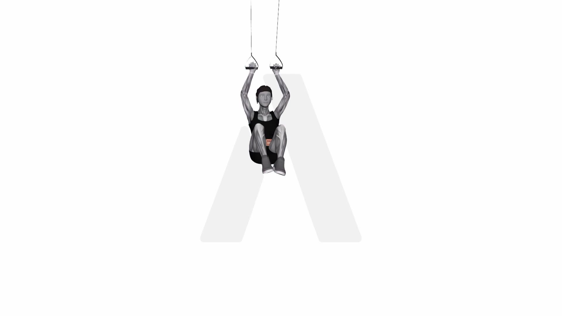 Suspension Trainer With Grips Hanging Leg Hip Raise exercise demonstration