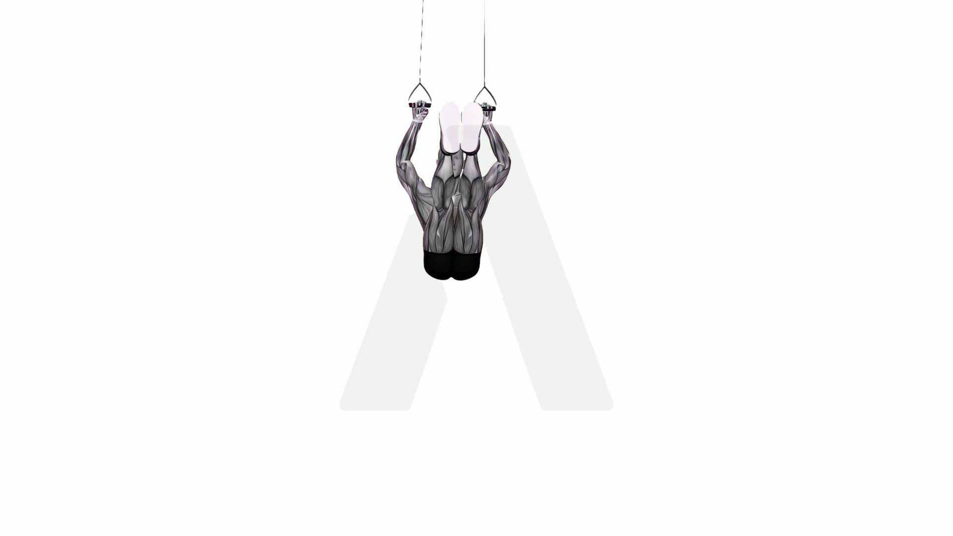 Suspension Trainer With Grips Hanging Straight Leg Hip Raise exercise demonstration