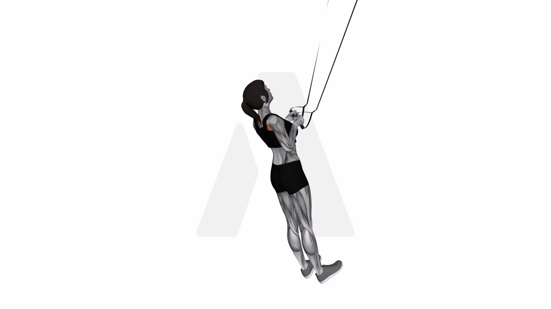 Suspension Trainer With Grips High Row exercise demonstration