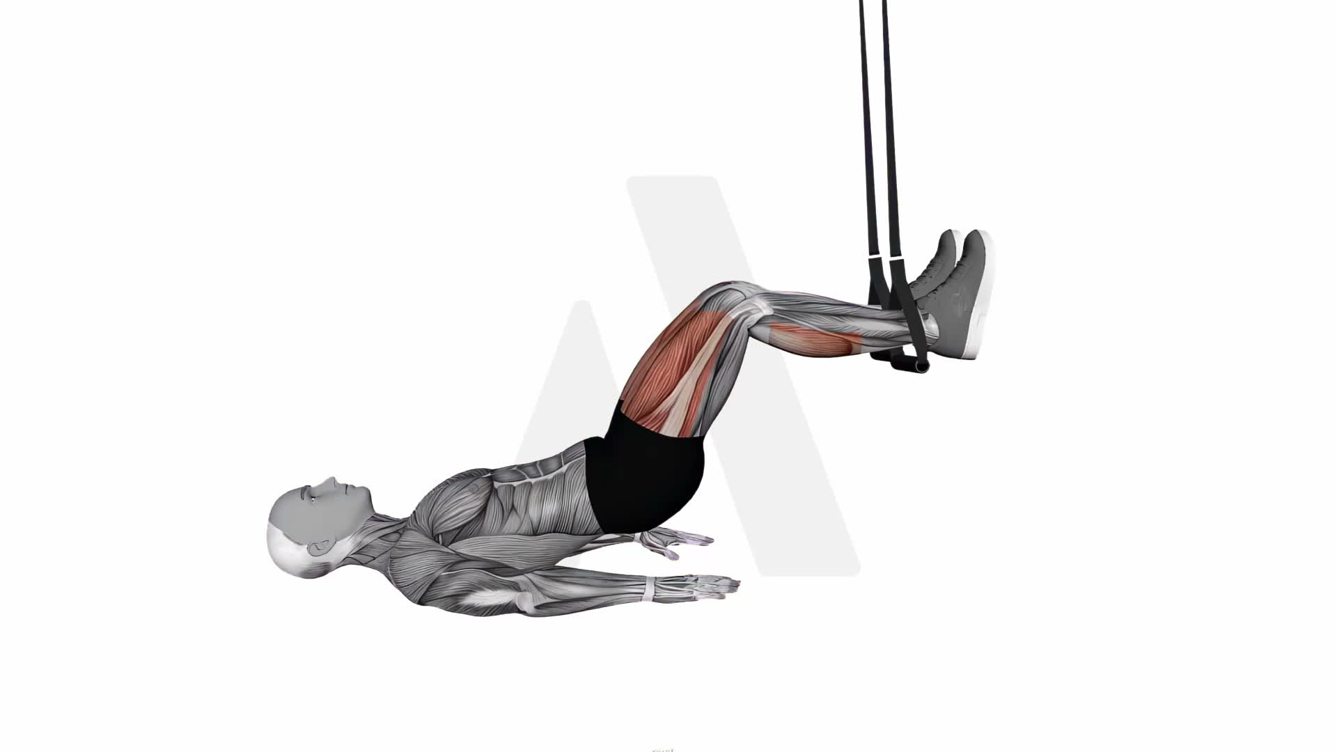 Suspension Trainer With Grips Hip Bridge exercise demonstration