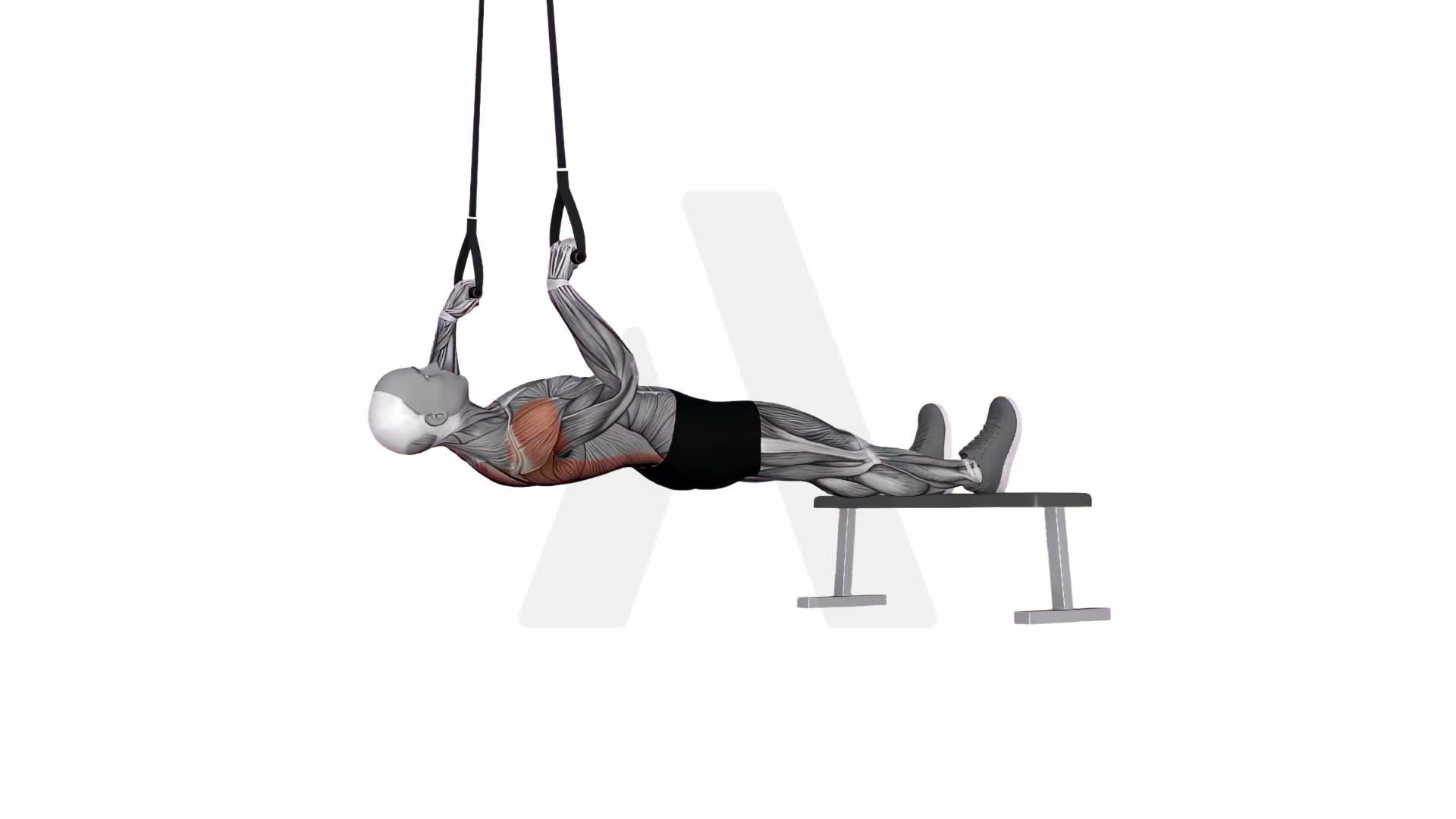 Suspension Trainer With Grips Inverted Row exercise demonstration