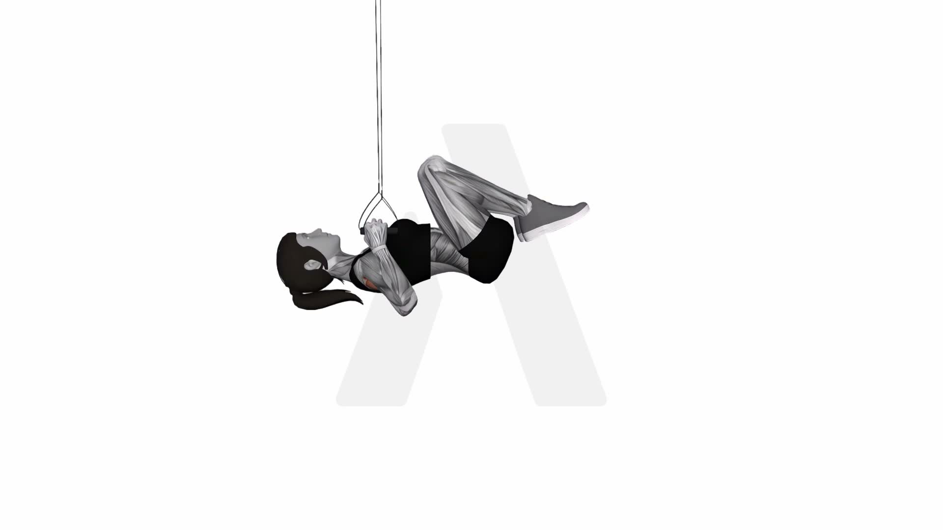 Suspension Trainer With Grips Knee Tuck Row exercise demonstration