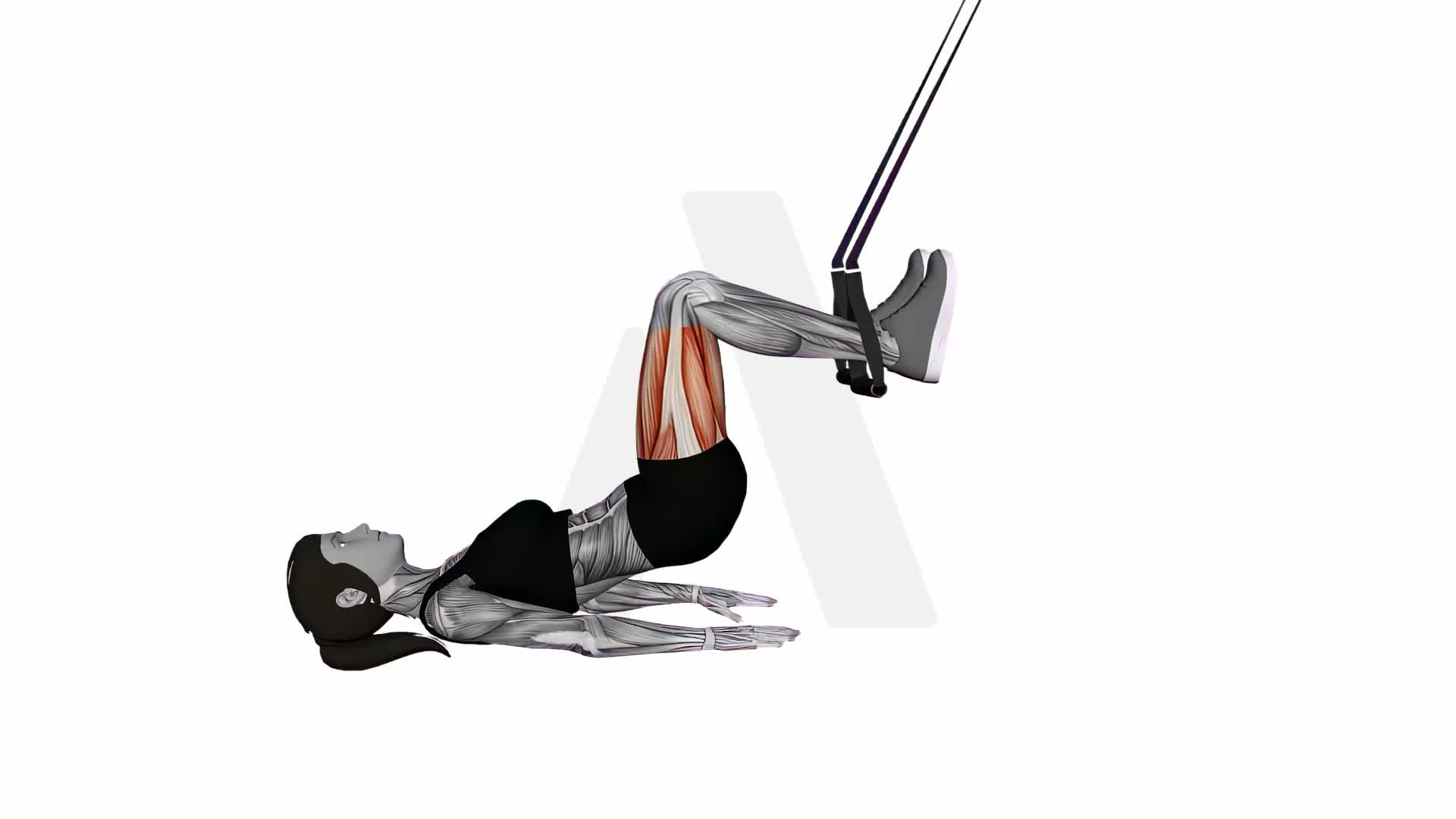 Suspension Trainer With Grips Leg Curl exercise demonstration