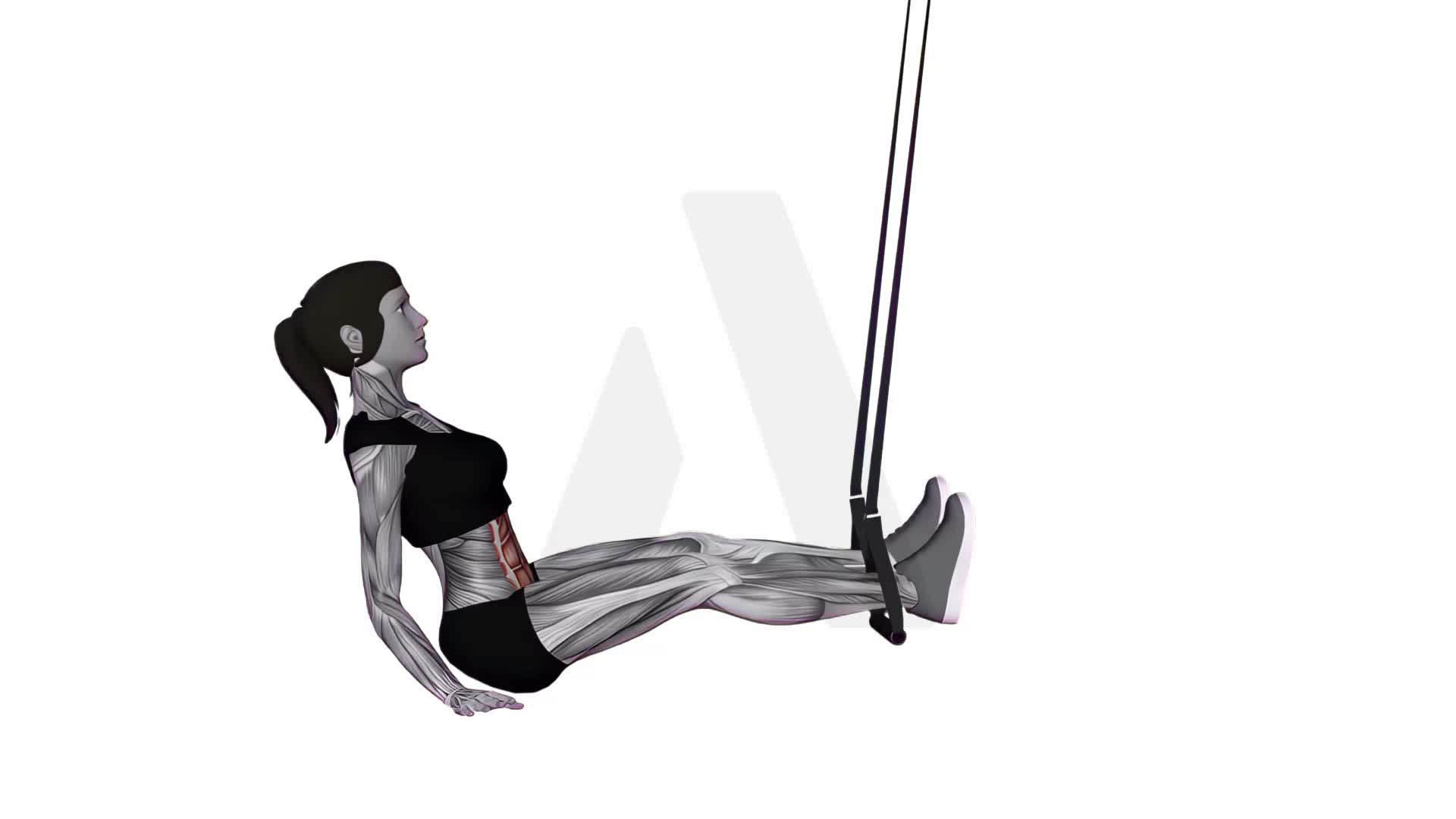 Suspension Trainer With Grips Pull Through exercise demonstration