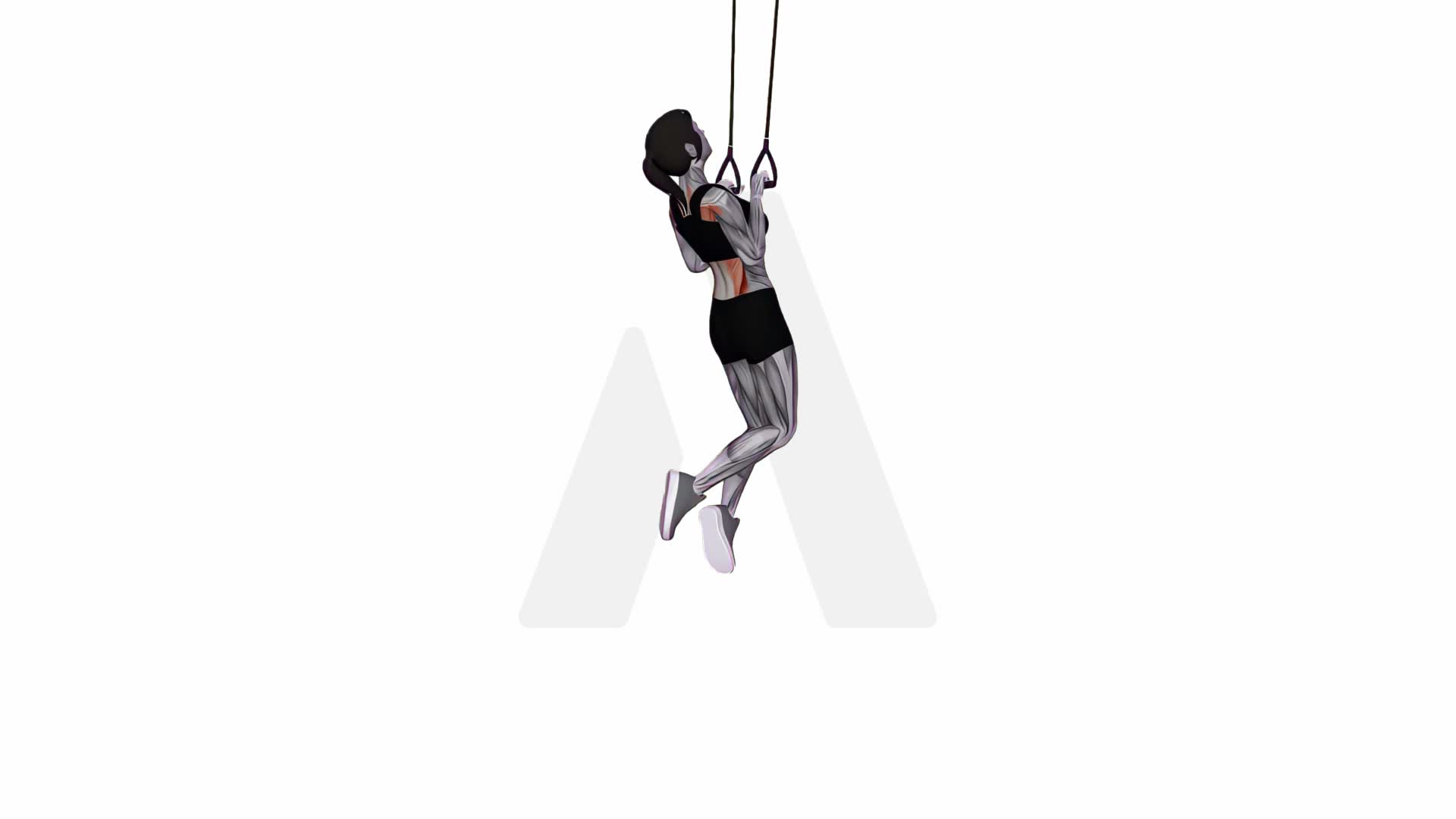 Suspension Trainer With Grips Pull Up exercise demonstration