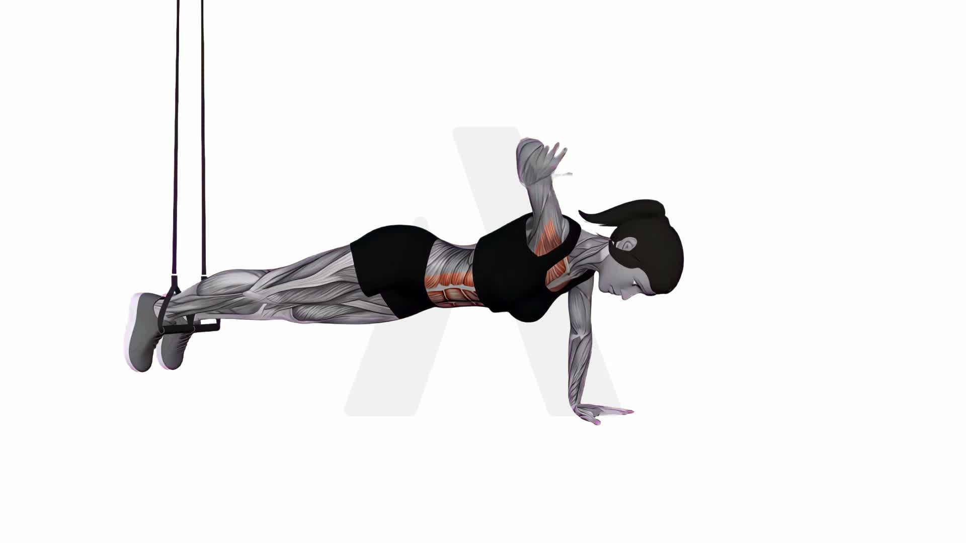 Suspension Trainer With Grips Push Up To Side Plank exercise demonstration