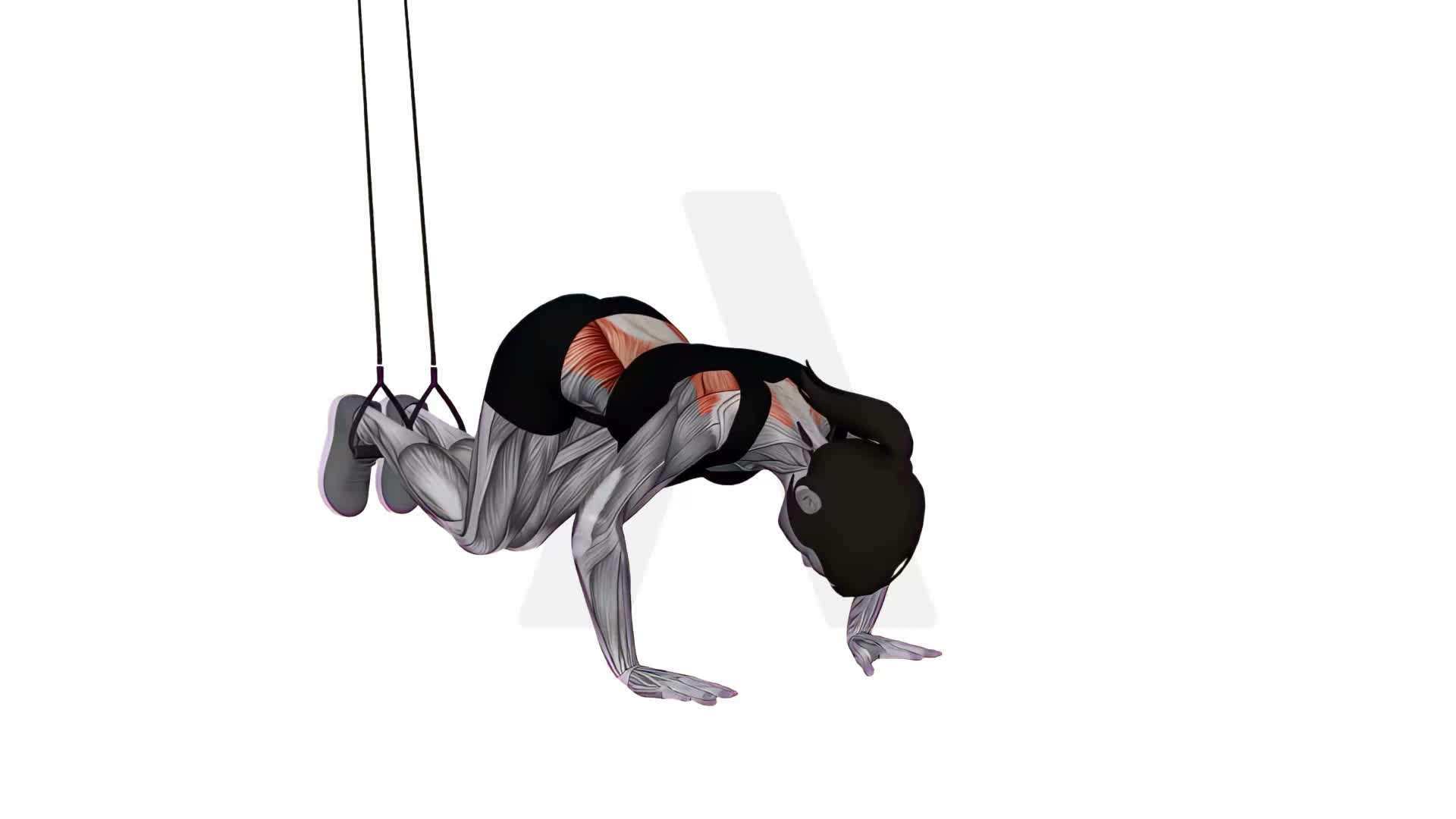 Suspension Trainer With Grips Reverse Ab Rollout exercise demonstration