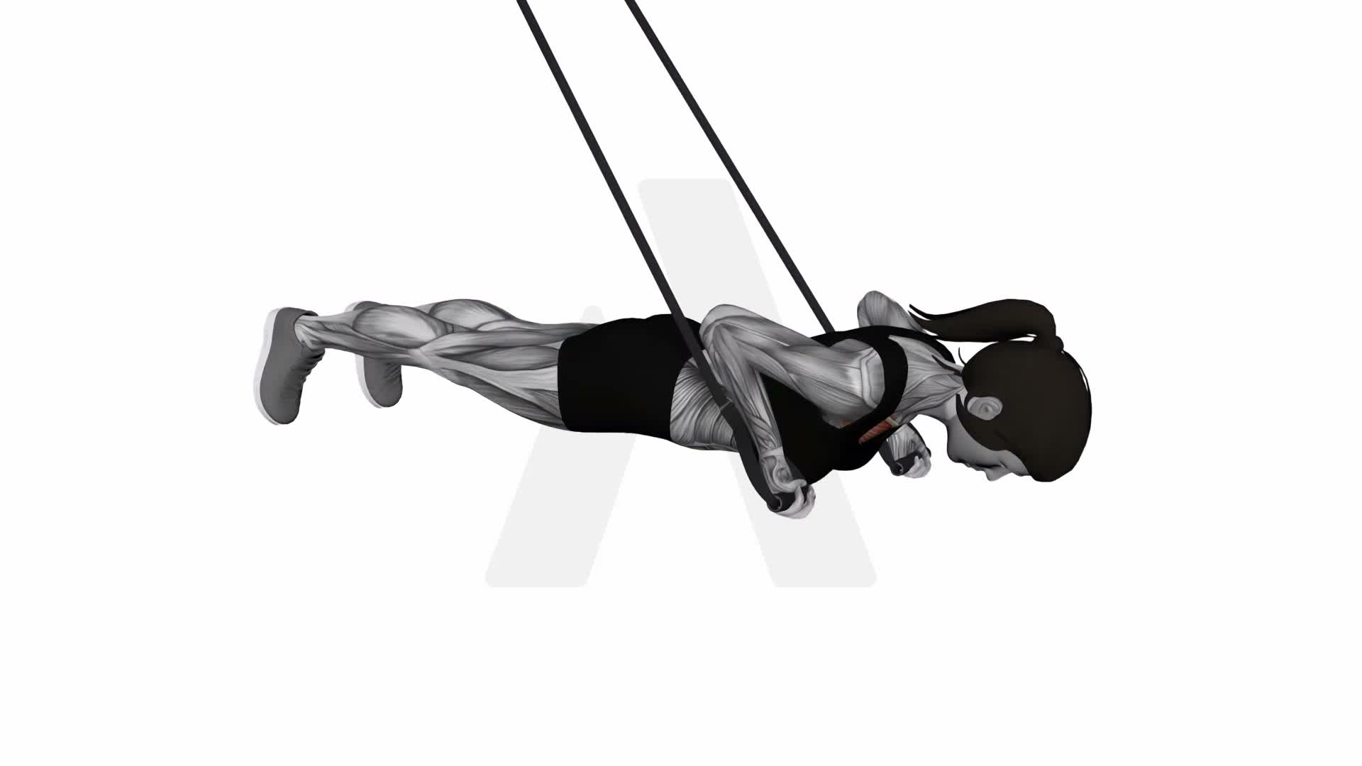 Suspension Trainer With Grips Reverse Push Up exercise demonstration