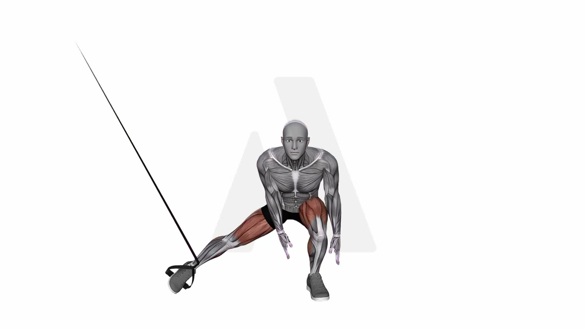 Suspension Trainer With Grips Side Squat exercise demonstration