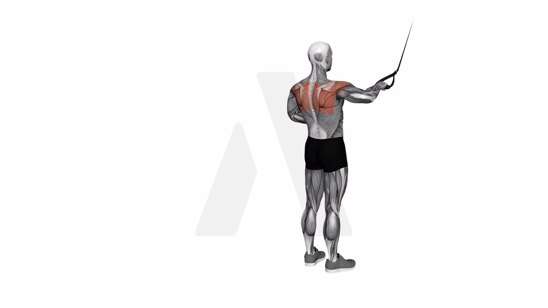 Suspension Trainer With Grips Single Arm Rear Delt Row exercise demonstration