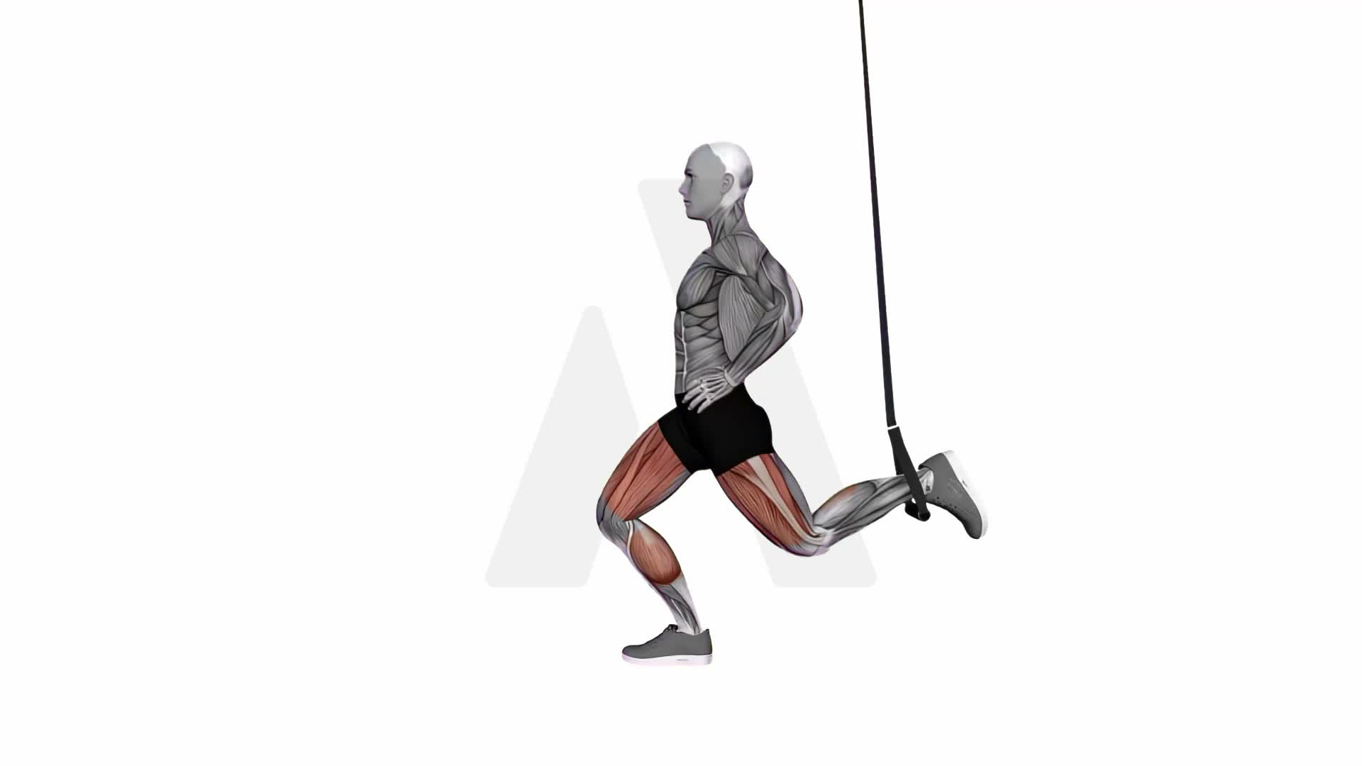 Suspension Trainer With Grips Split Squat exercise demonstration