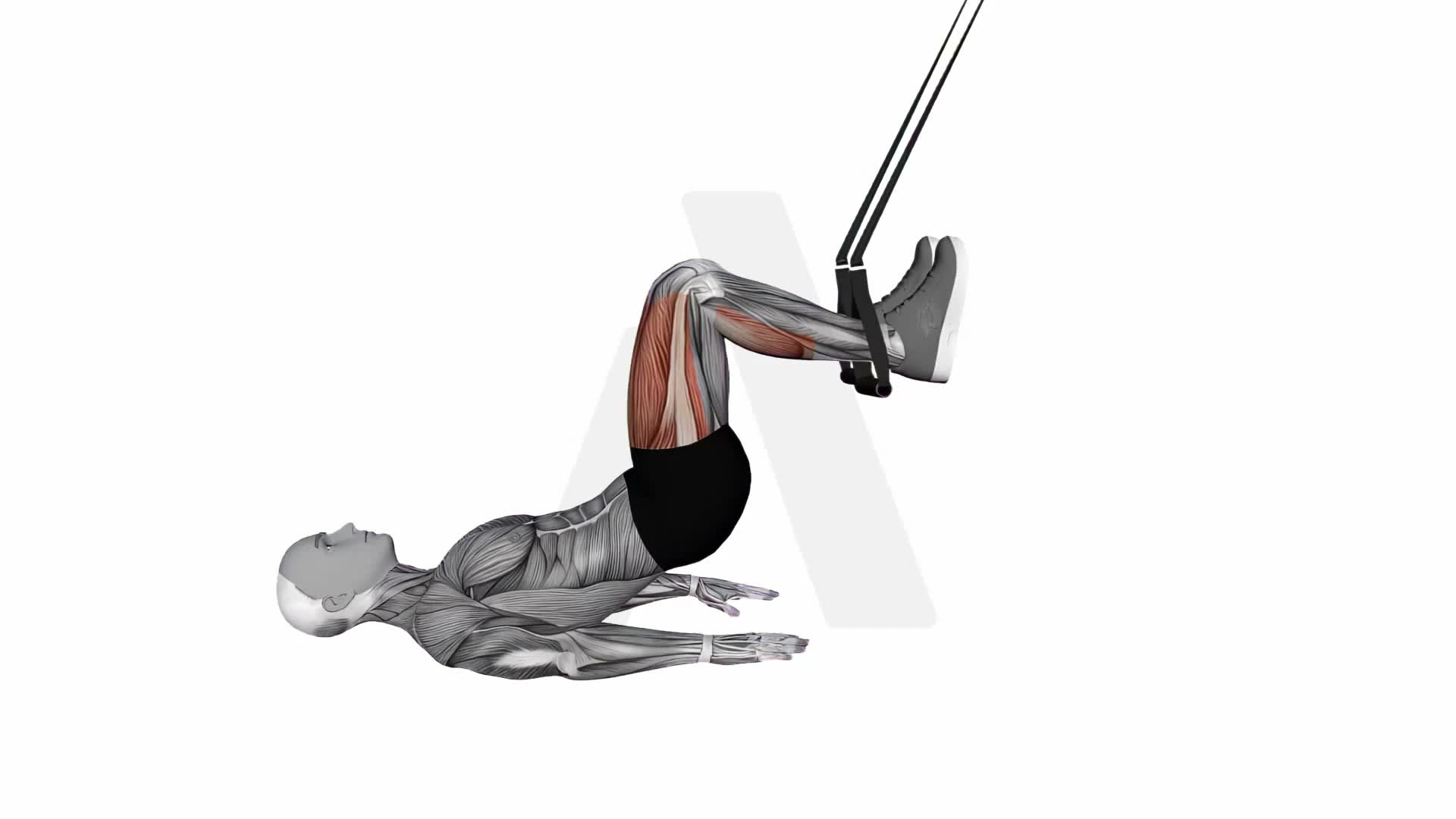 Suspension Trainer With Grips Straight Hip Leg Curl exercise demonstration