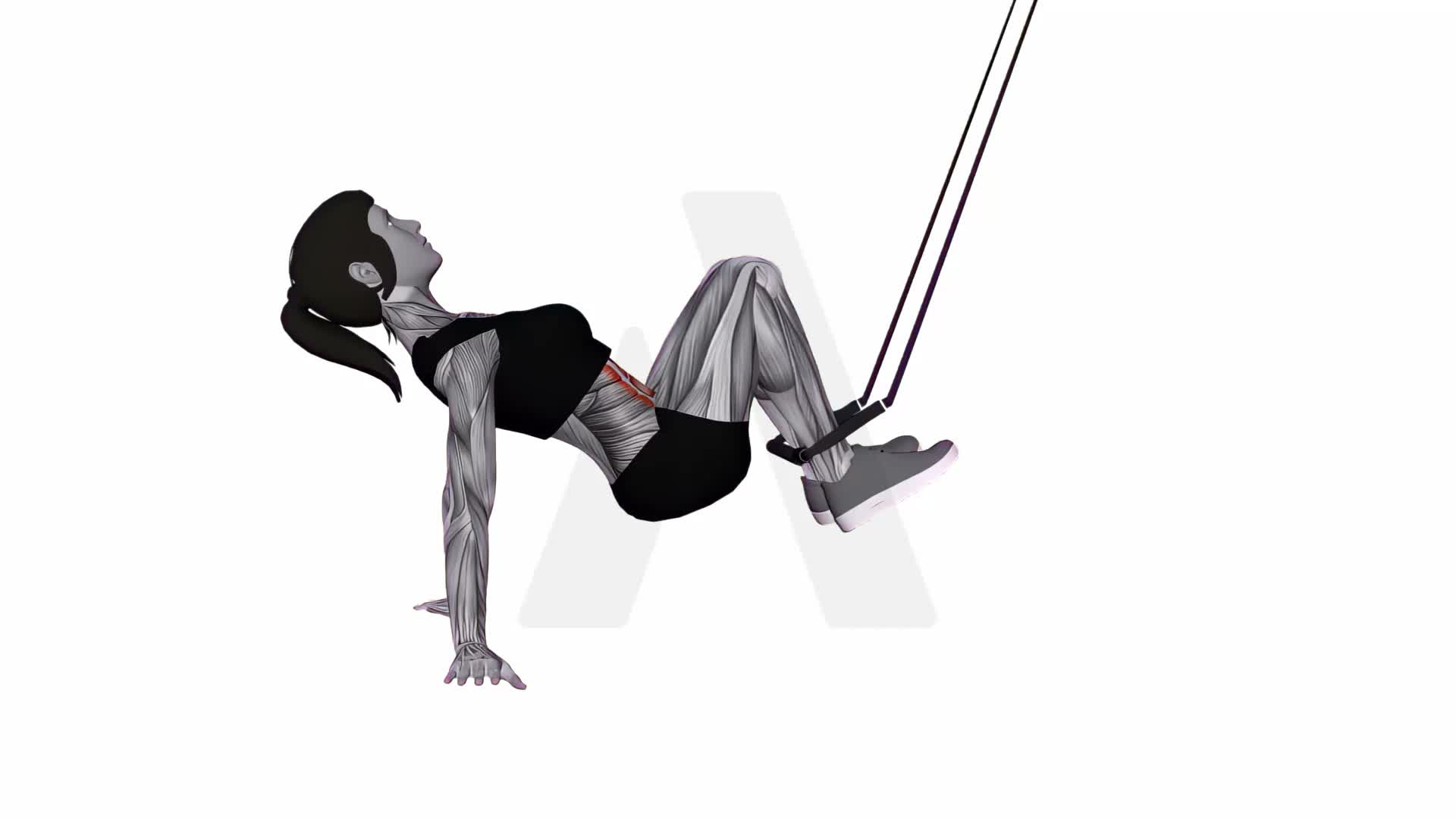 Suspension Trainer With Grips Supine Crunch exercise demonstration