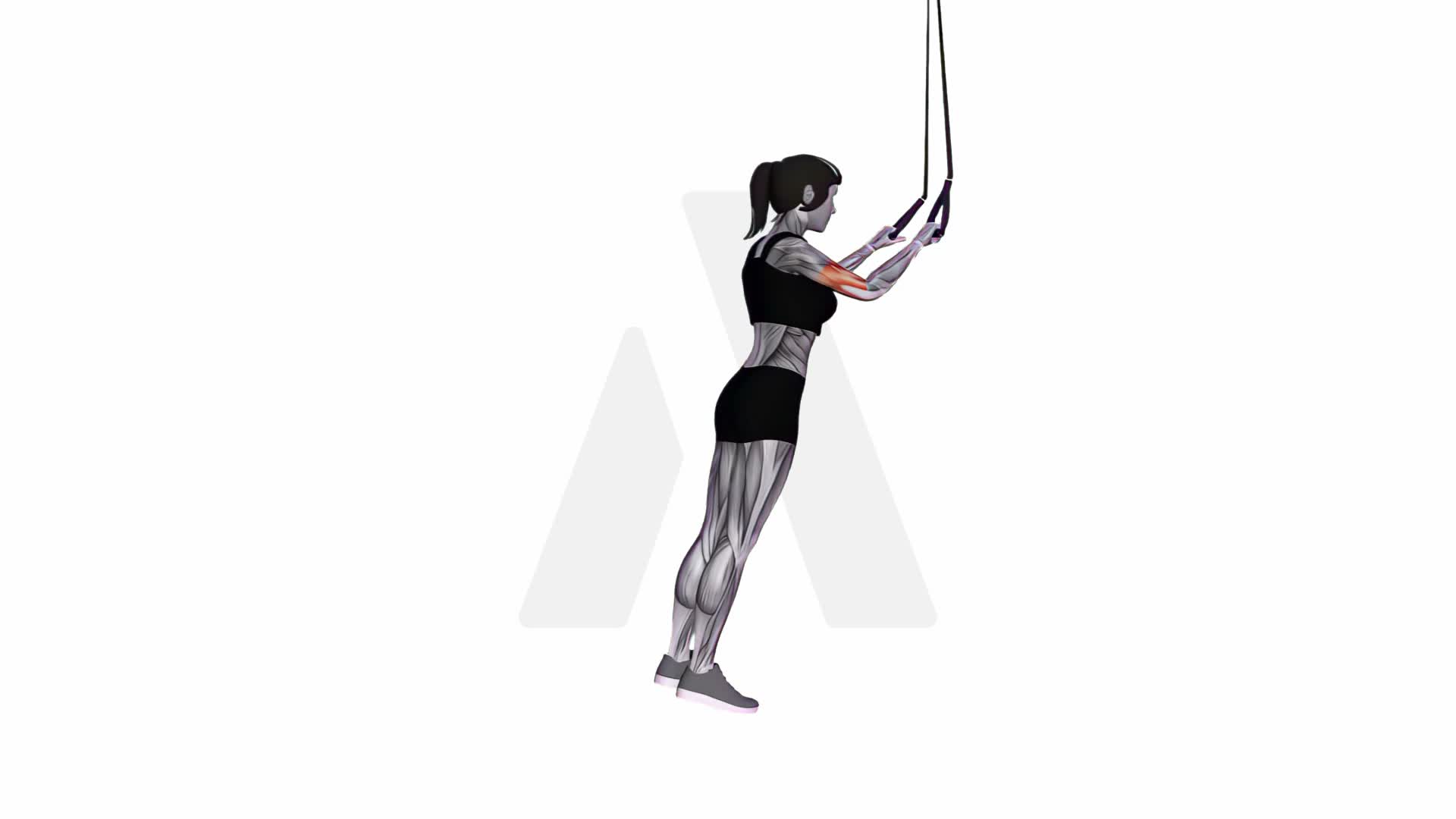Suspension Trainer With Grips Triceps Extension exercise demonstration