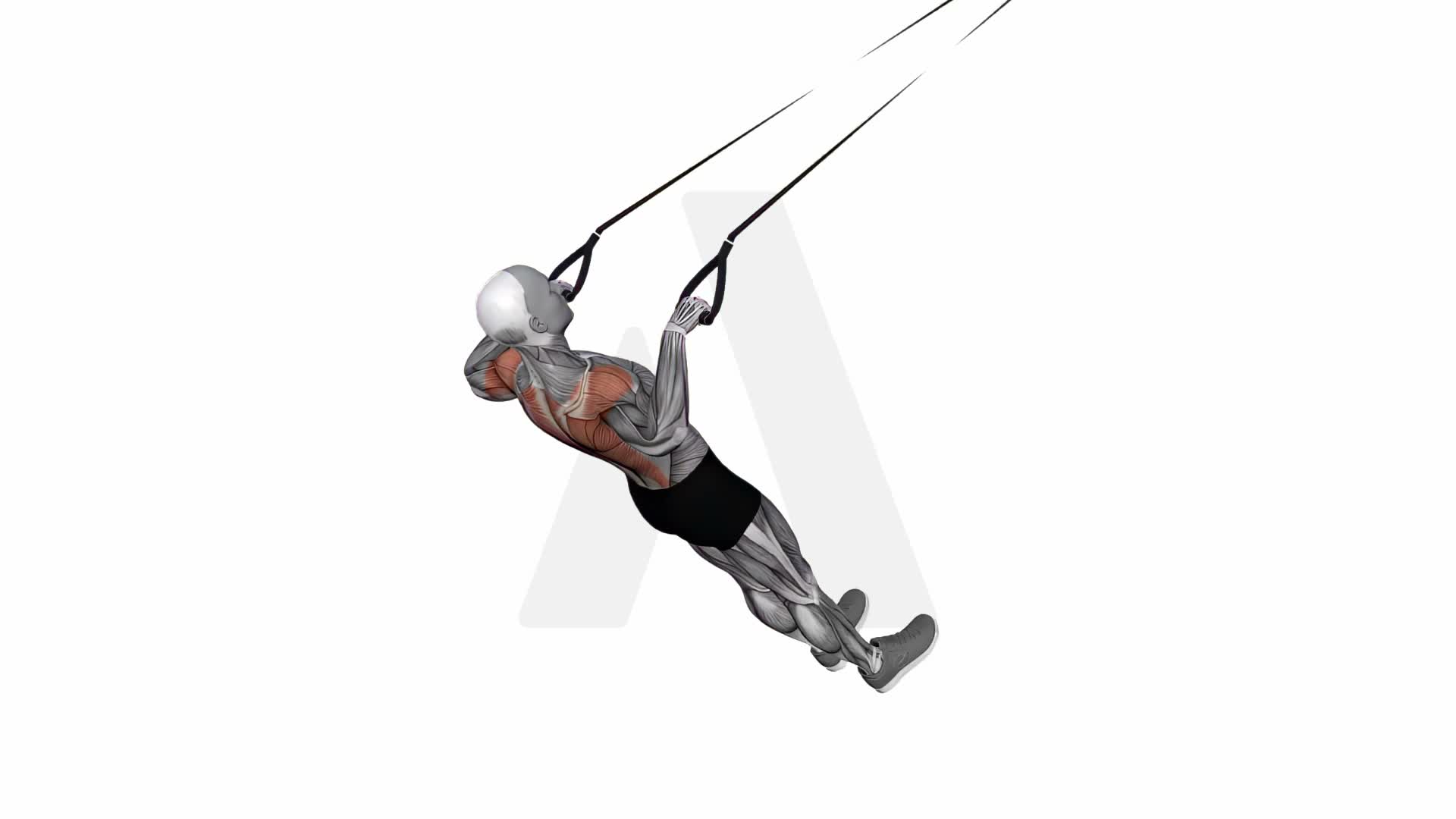 Suspension Trainer With Grips Wide Grip Inverted Row On Floor exercise demonstration