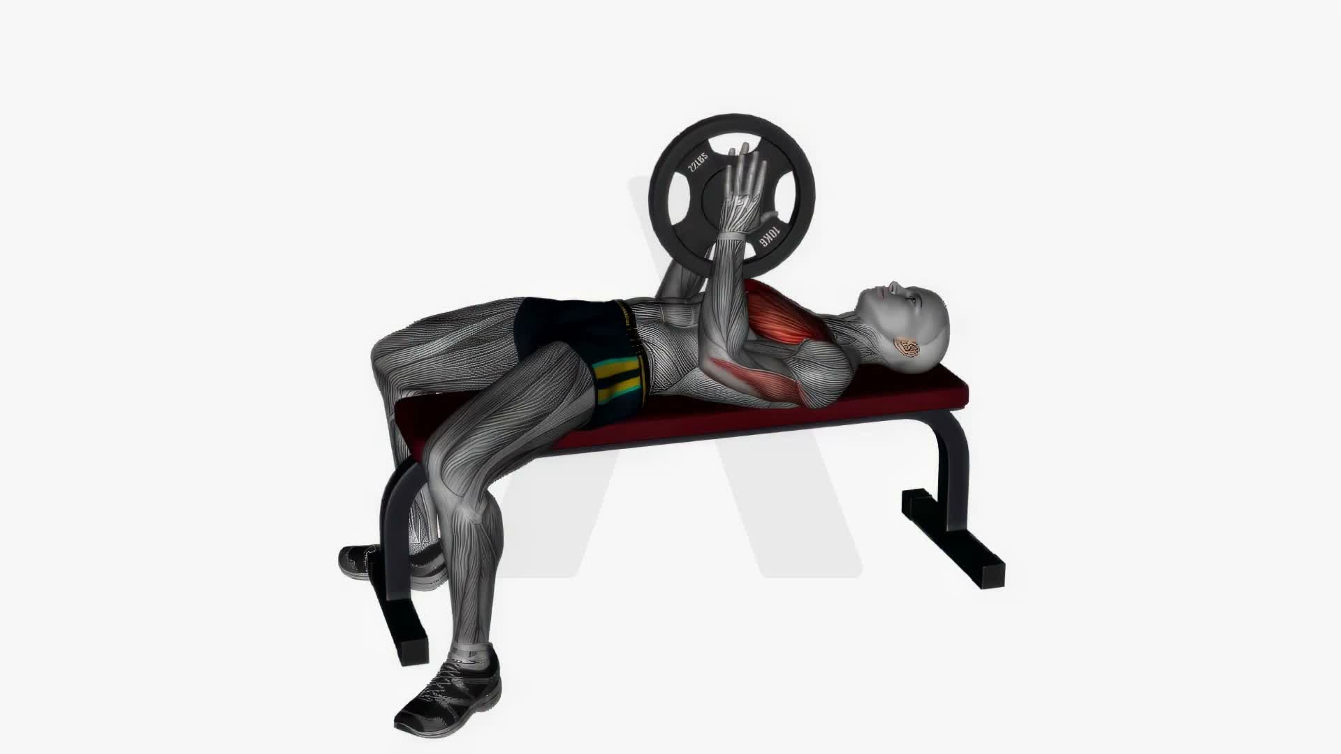 Svend Press Flat Bench exercise demonstration