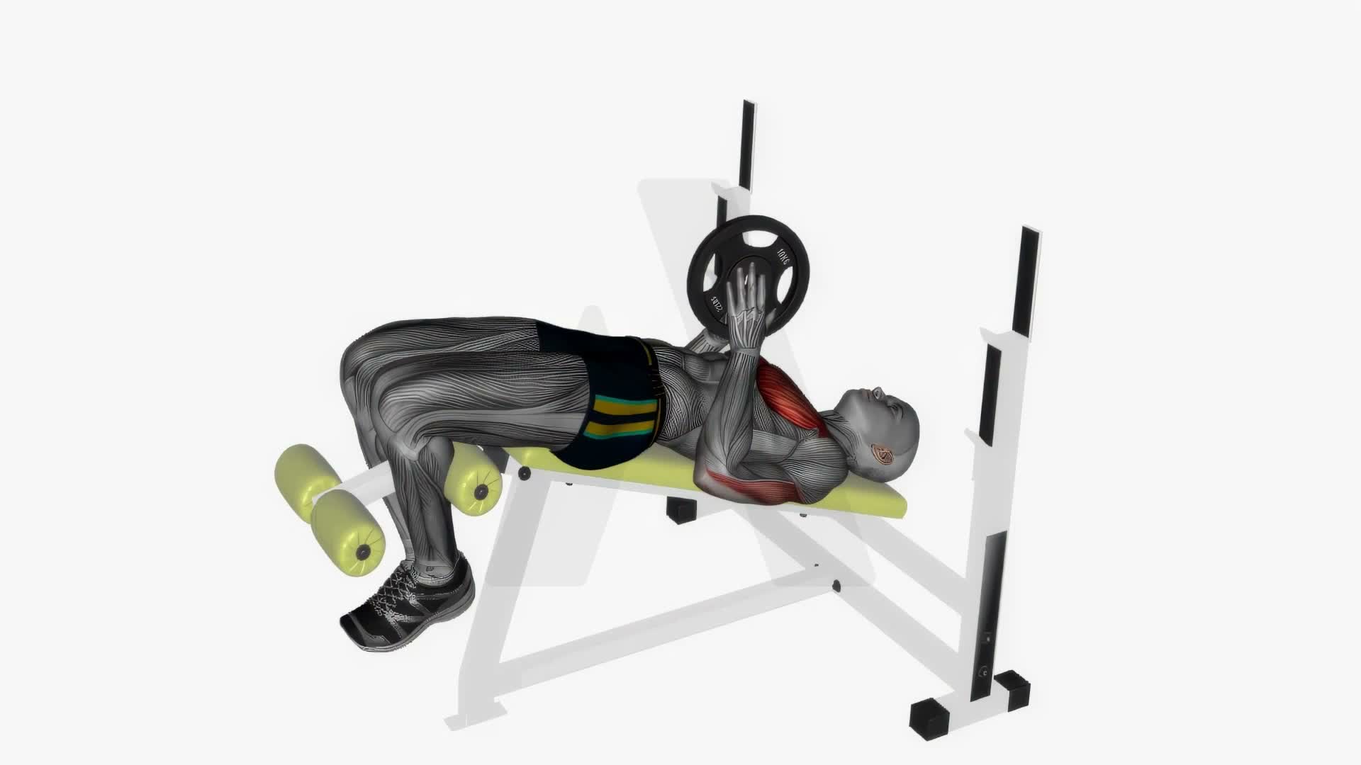 Svend Press Decline Bench exercise demonstration