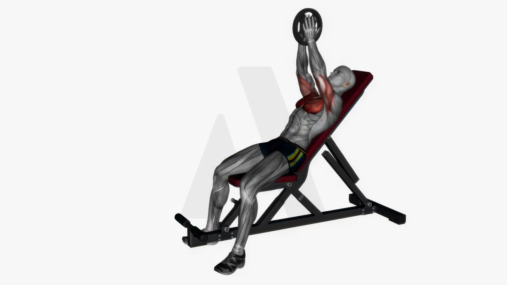Svend Press Incline Bench exercise demonstration