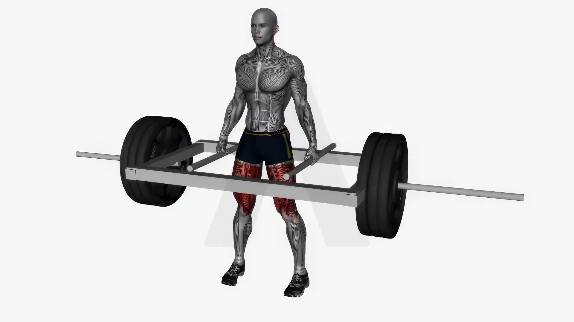 Trap Bar Deadlift exercise demonstration