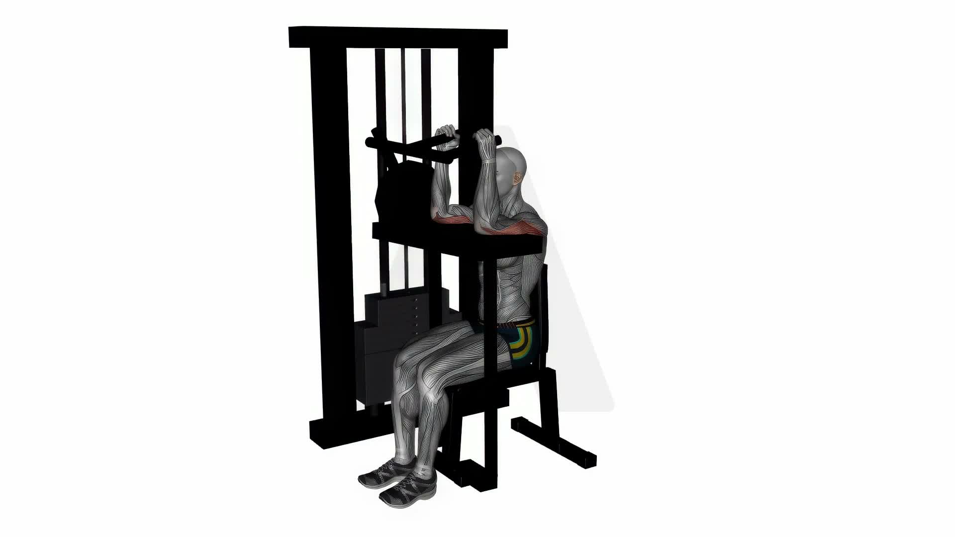 Tricep Extension Machine exercise demonstration