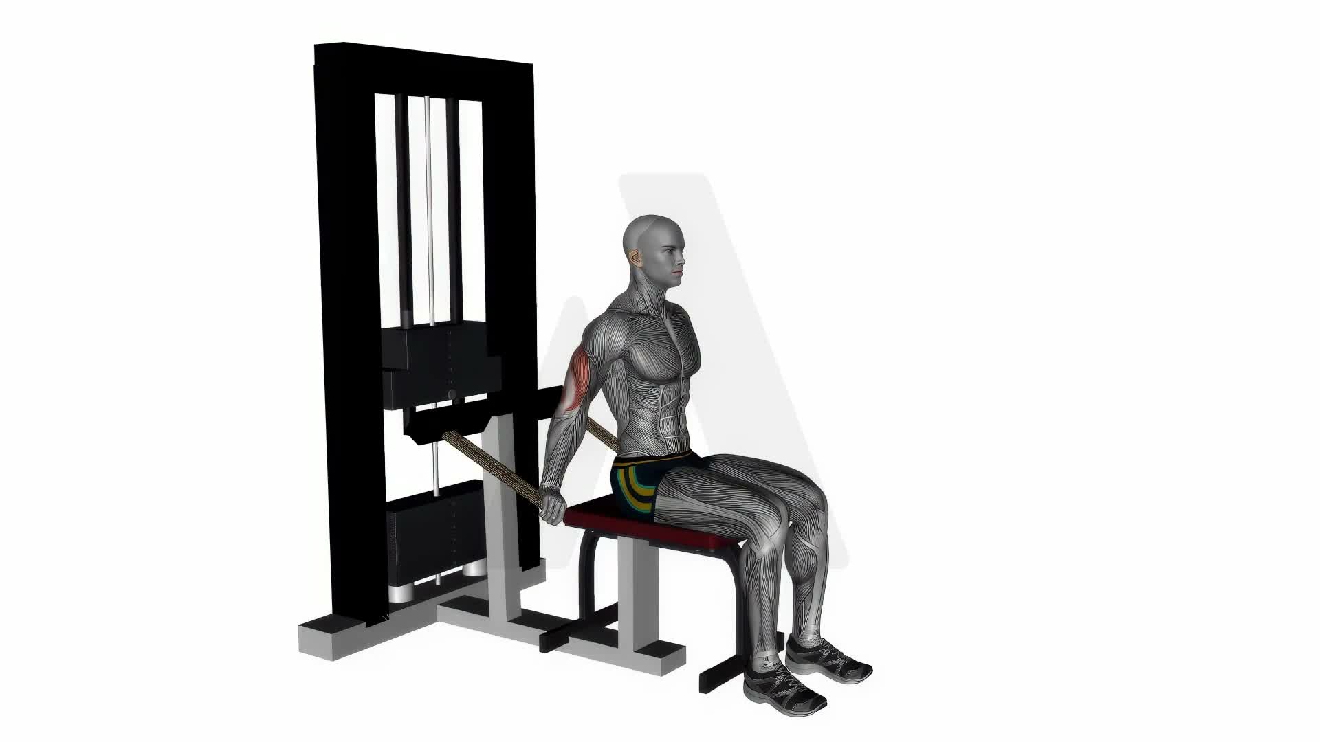 Triceps Dip Machine exercise demonstration