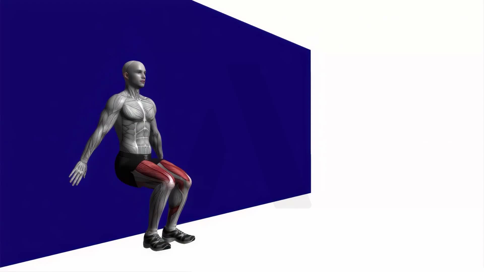 Wall Sit Bodyweight exercise demonstration