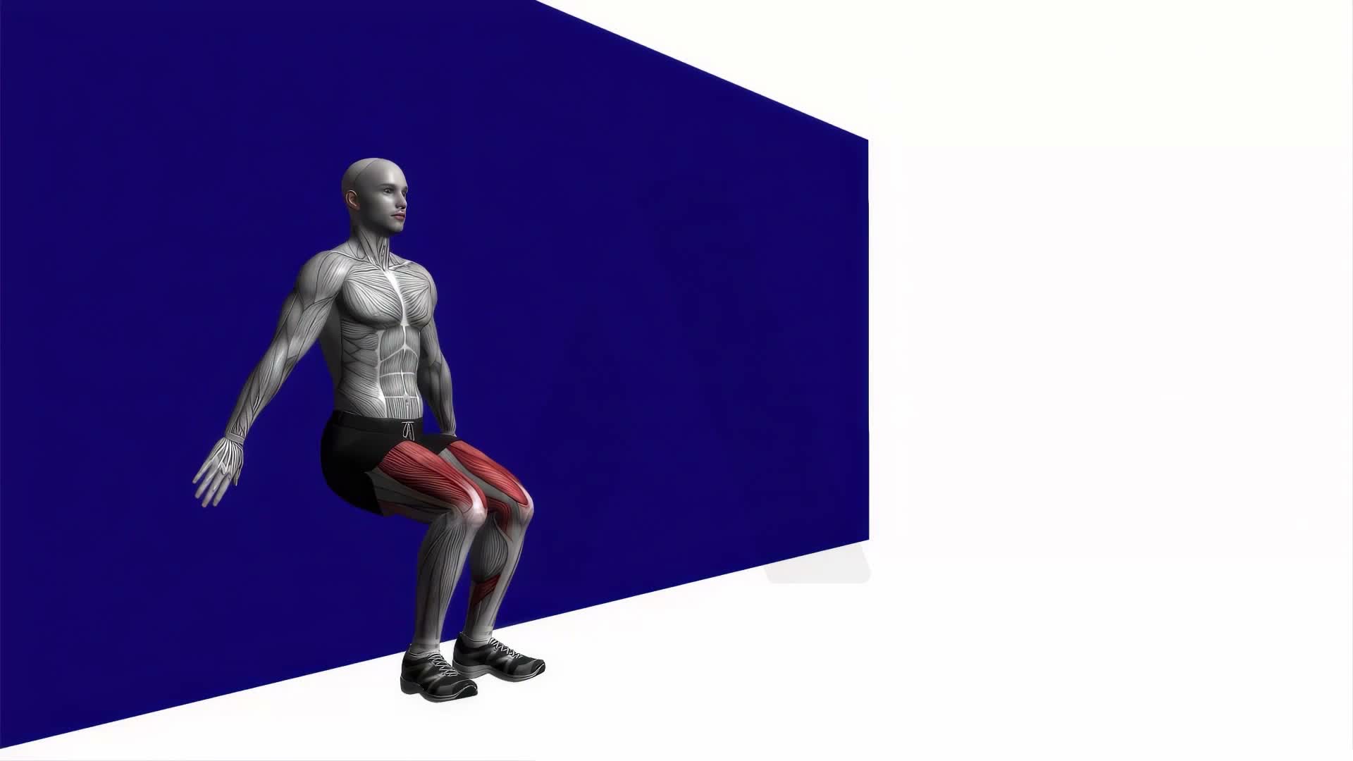 Wall Squat Bodyweight exercise demonstration