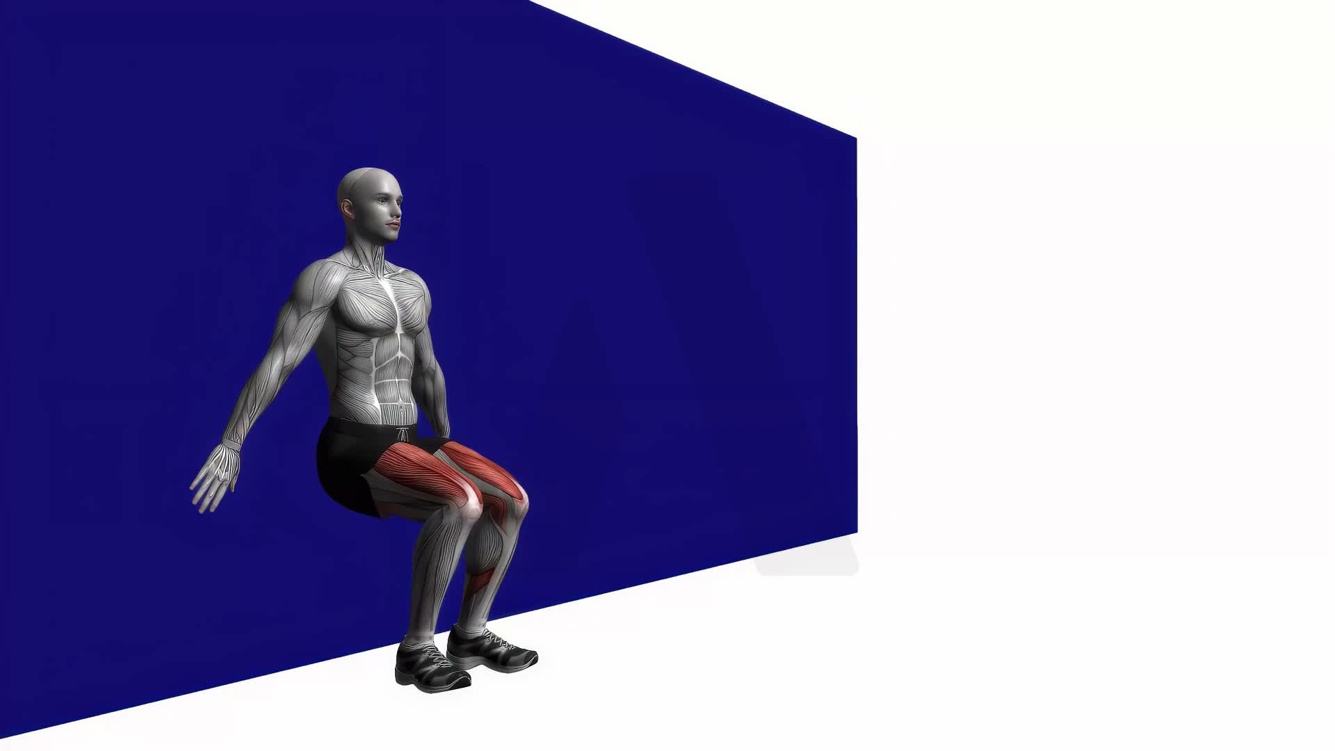 Wall Squat With Pause Bodyweight exercise demonstration
