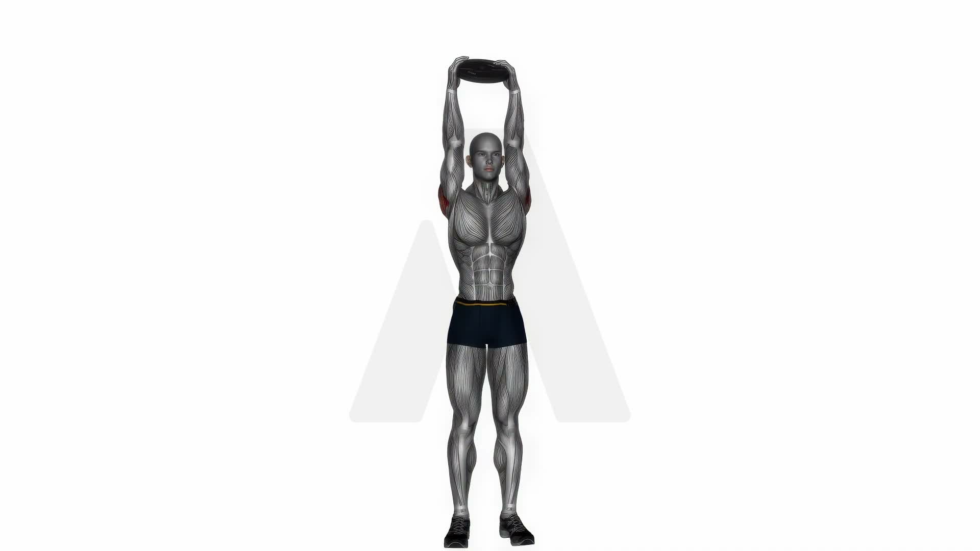 Weighted Standing Shoulder Press With Plate exercise demonstration