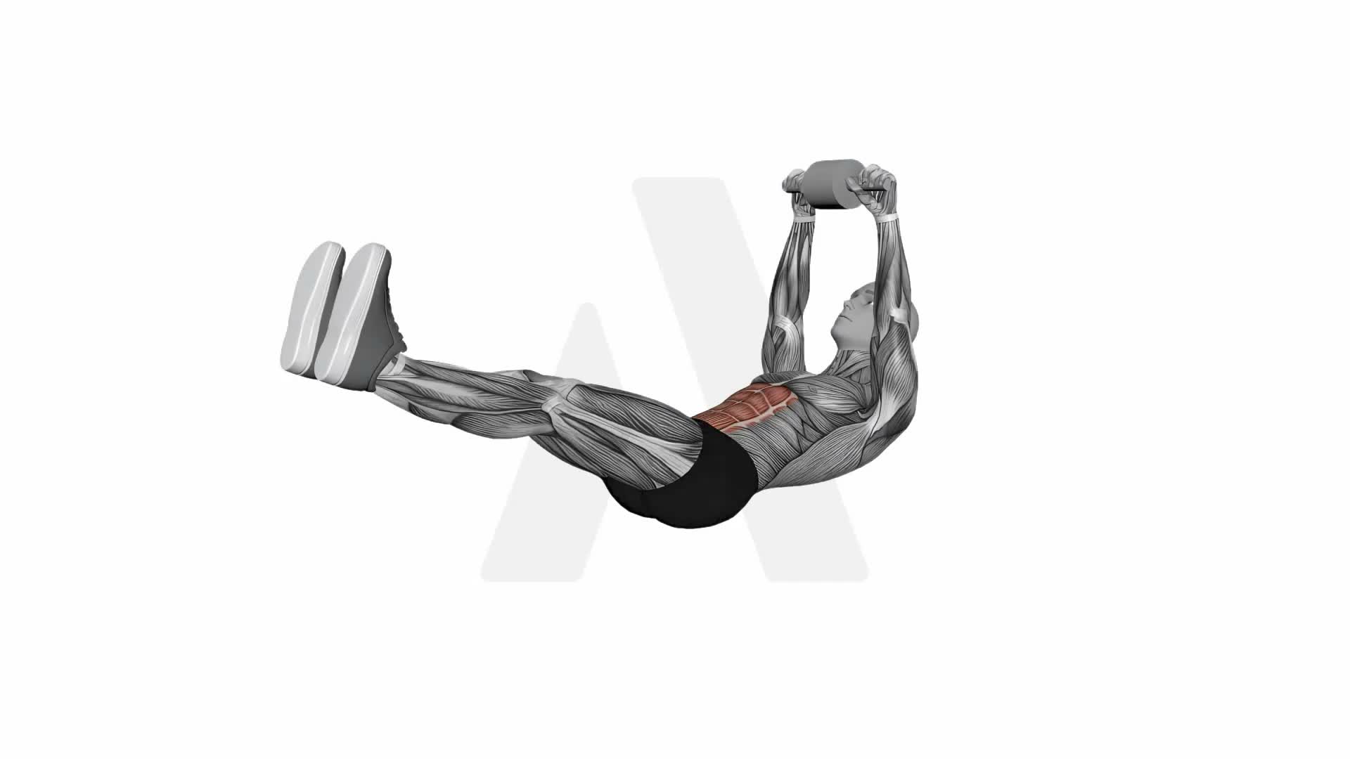 Wheels To Toes exercise demonstration