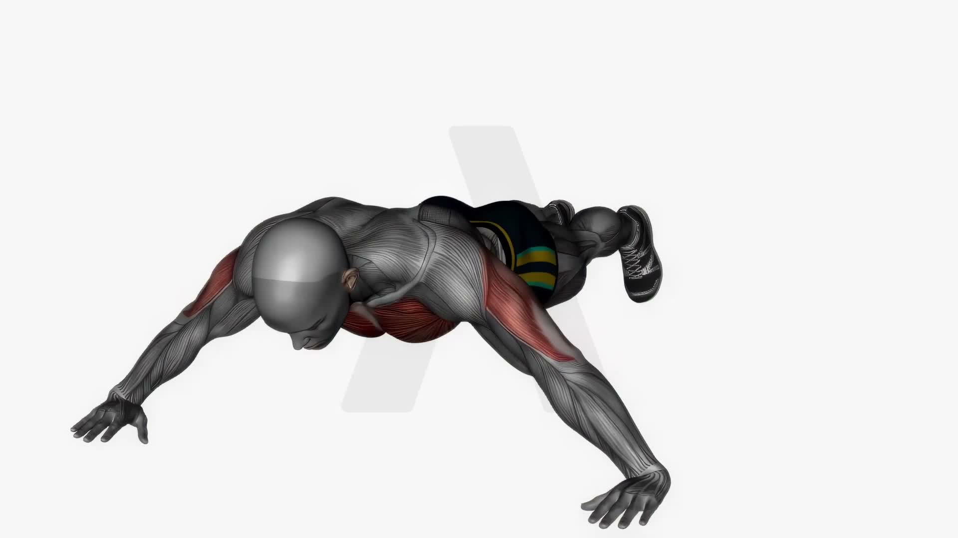 Wide Push Ups Bodyweight exercise demonstration
