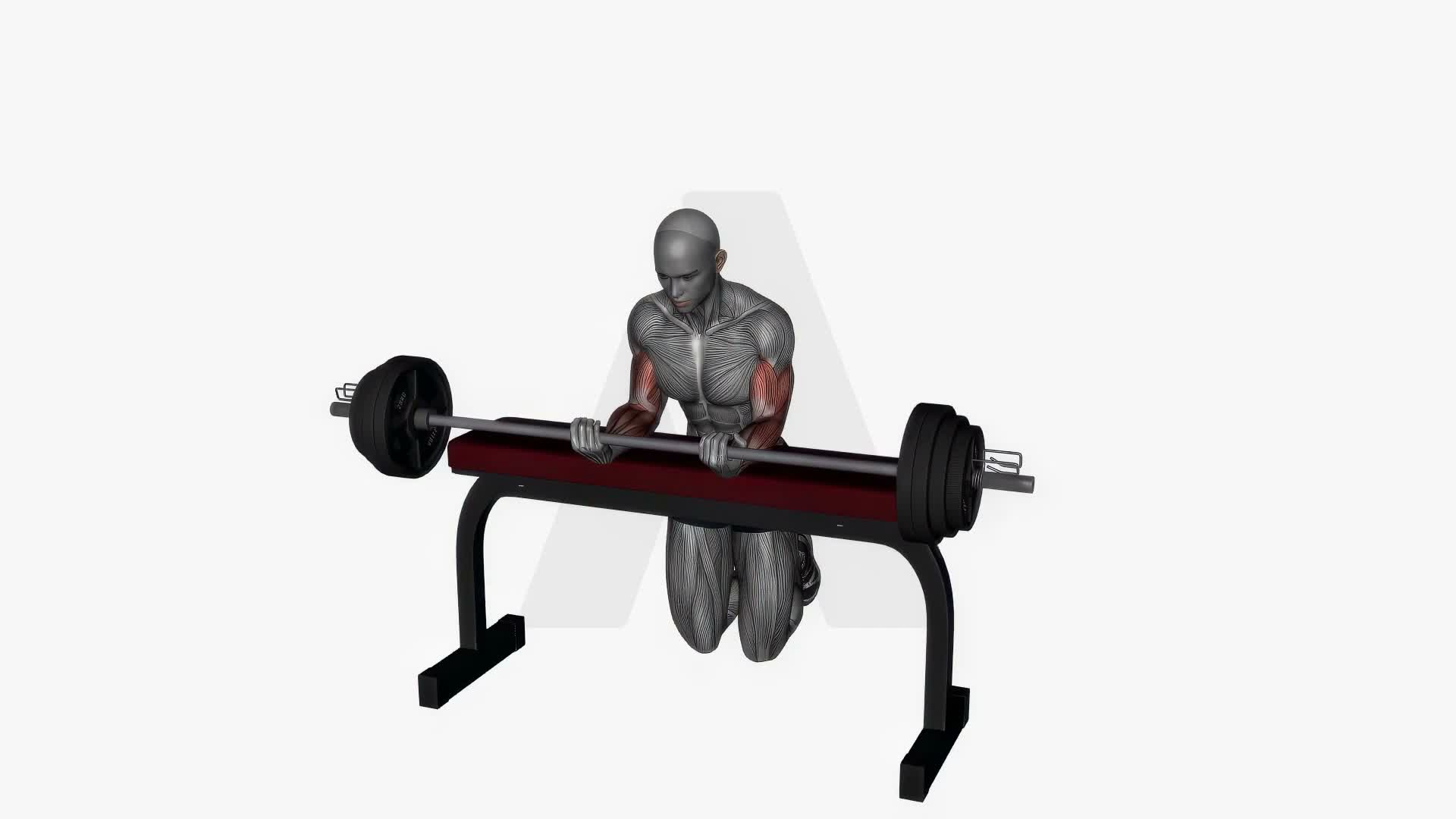 Wrist Curl Barbell exercise demonstration