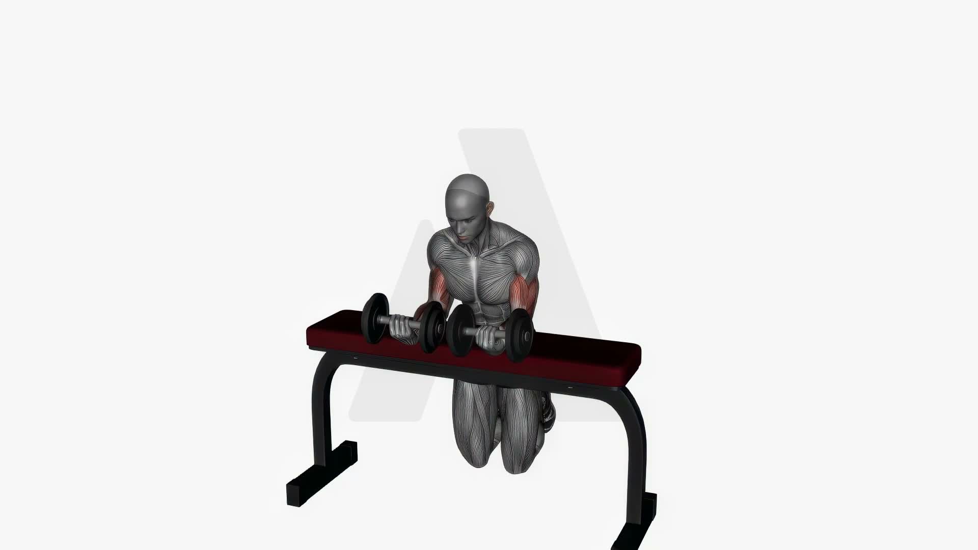 Wrist Curl Dumbbell exercise demonstration