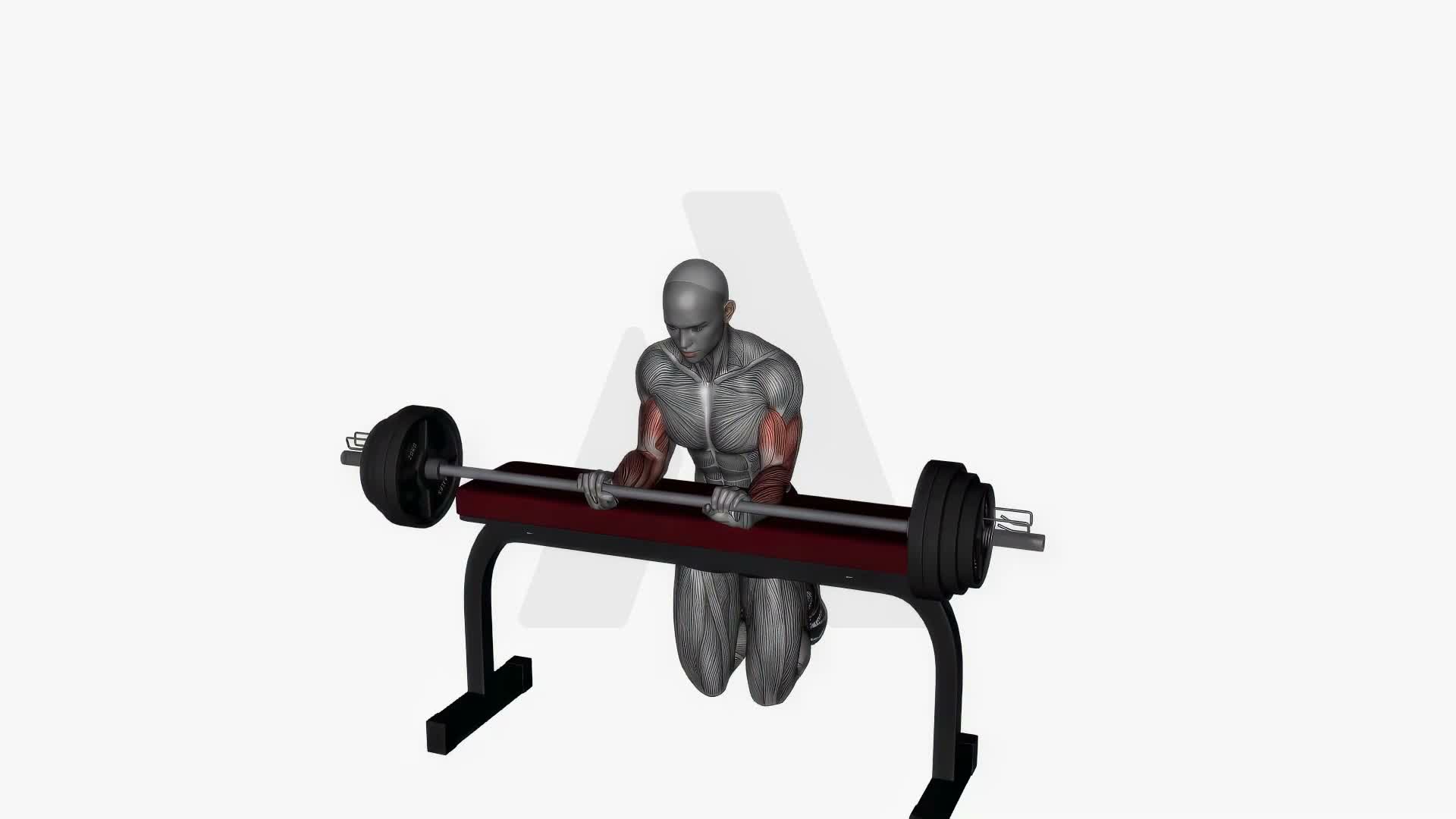 Wrist Extension Barbell exercise demonstration