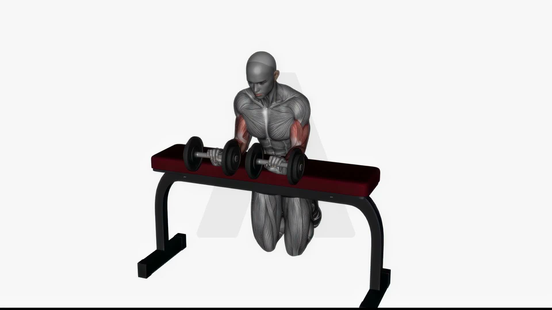 Wrist Extension Dumbbell exercise demonstration